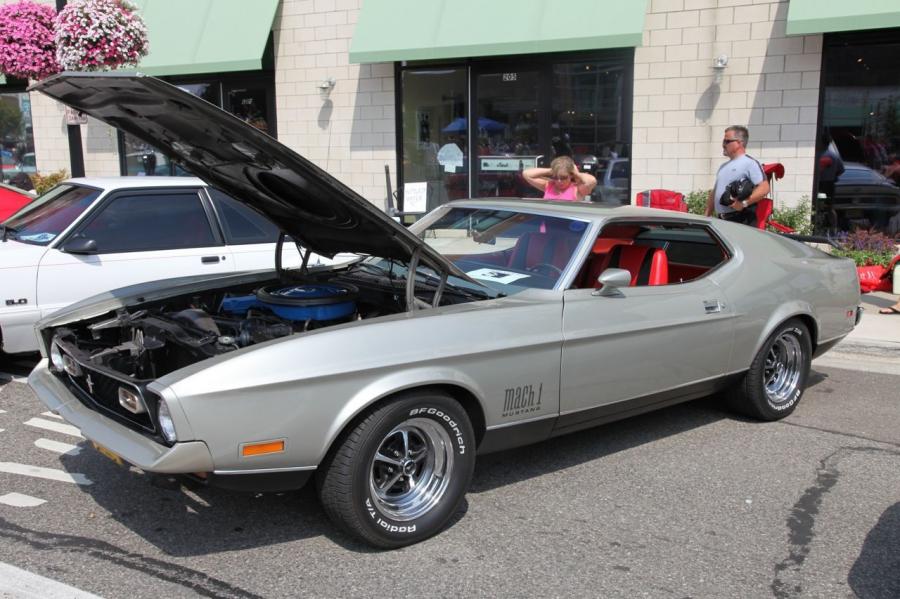  Ford Mustang Mach I 1973 года  (фото 4 из 4)